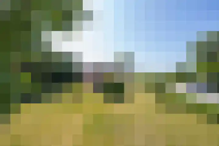 Hogestraat 56 Zoelen thumbnail 17