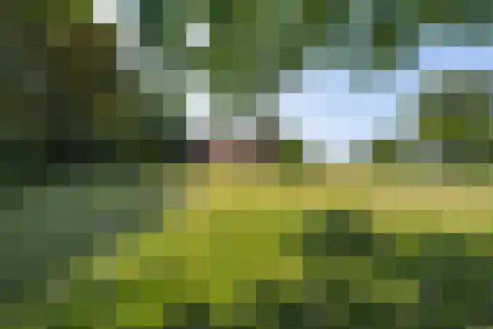 Hogestraat 56 Zoelen thumbnail 18