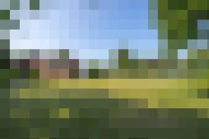Hogestraat 56 Zoelen thumbnail 19