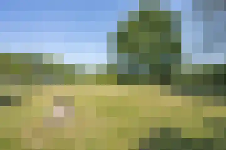 Hogestraat 56 Zoelen thumbnail 20