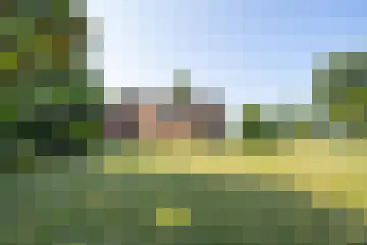 Hogestraat 56 Zoelen thumbnail 21