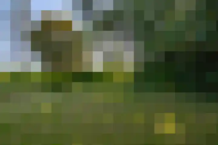 Hogestraat 56 Zoelen thumbnail 23