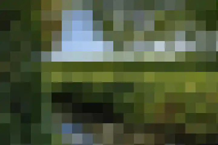 Hogestraat 56 Zoelen thumbnail 24