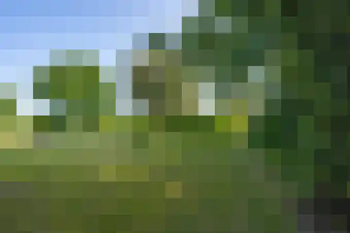 Hogestraat 56 Zoelen thumbnail 25