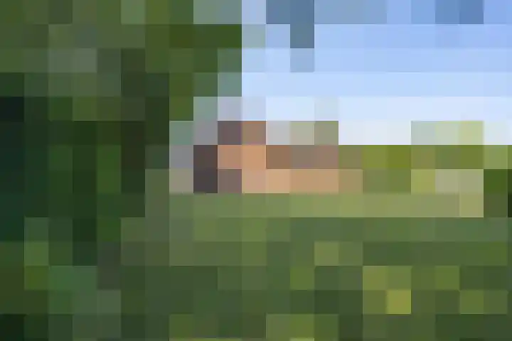 Hogestraat 56 Zoelen thumbnail 27