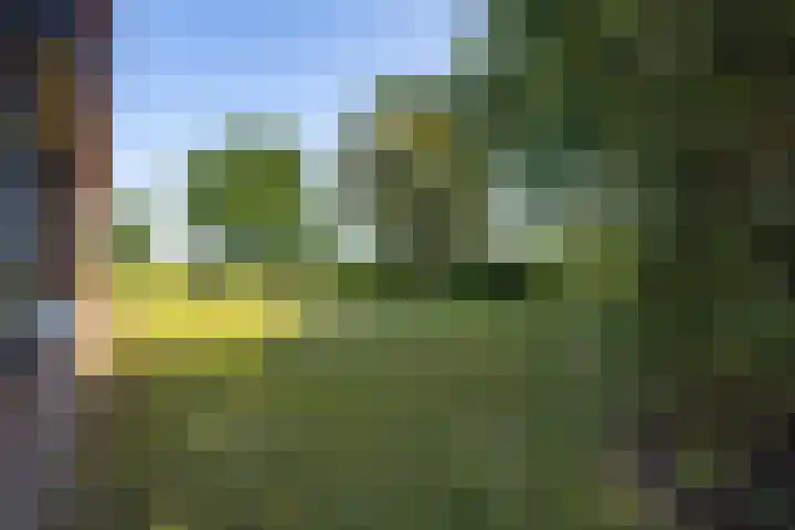 Hogestraat 56 Zoelen thumbnail 28