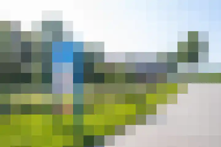 Hogestraat 56 Zoelen thumbnail 4