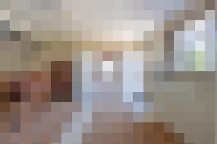 Hogestraat 56 Zoelen thumbnail 43