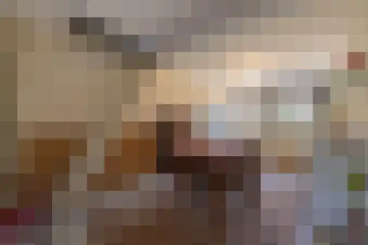 Hogestraat 56 Zoelen thumbnail 47