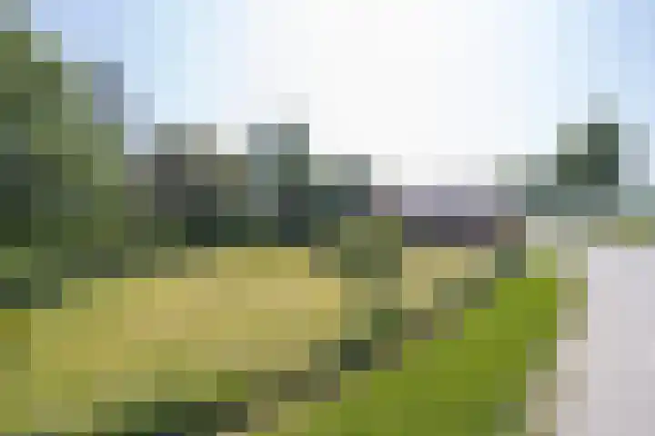 Hogestraat 56 Zoelen thumbnail 5