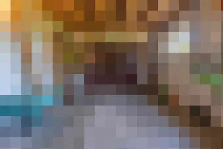 Hogestraat 56 Zoelen thumbnail 54
