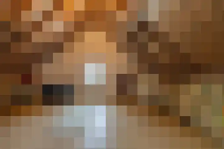 Hogestraat 56 Zoelen thumbnail 55
