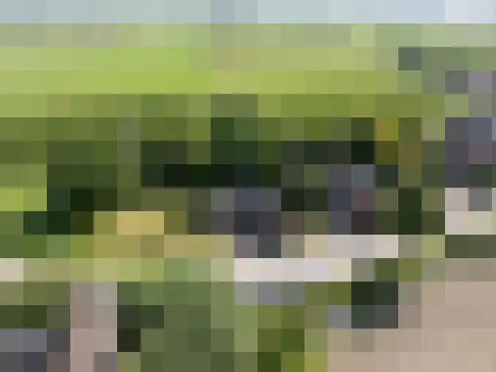 Hogestraat 56 Zoelen thumbnail 59