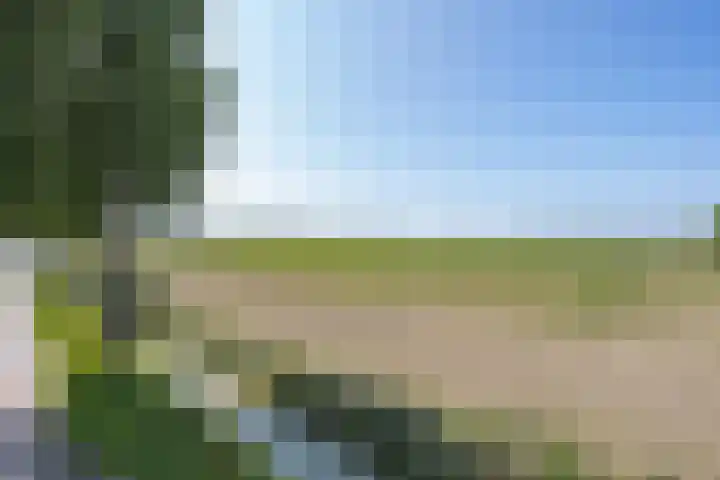 Hogestraat 56 Zoelen thumbnail 6