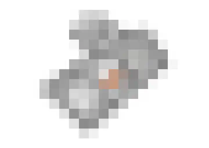 Hogestraat 56 Zoelen thumbnail 63