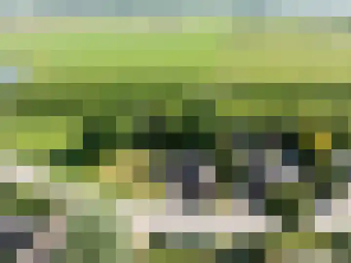 Hogestraat 56 Zoelen thumbnail 7