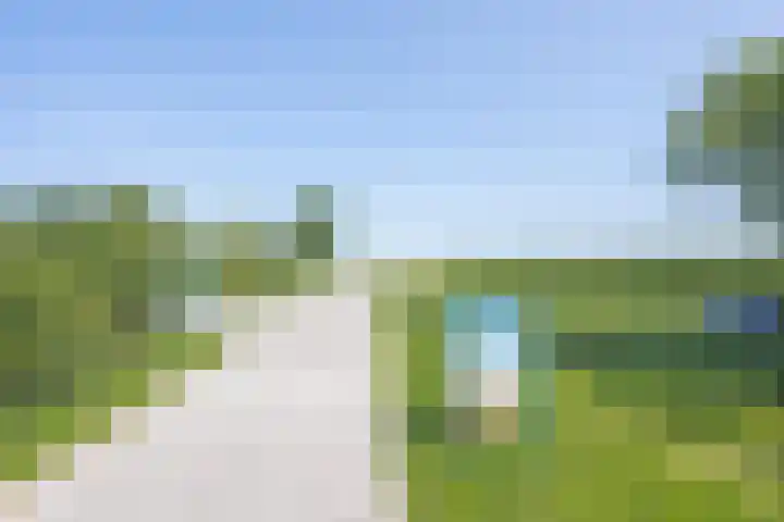 Hogestraat 56 Zoelen thumbnail 8