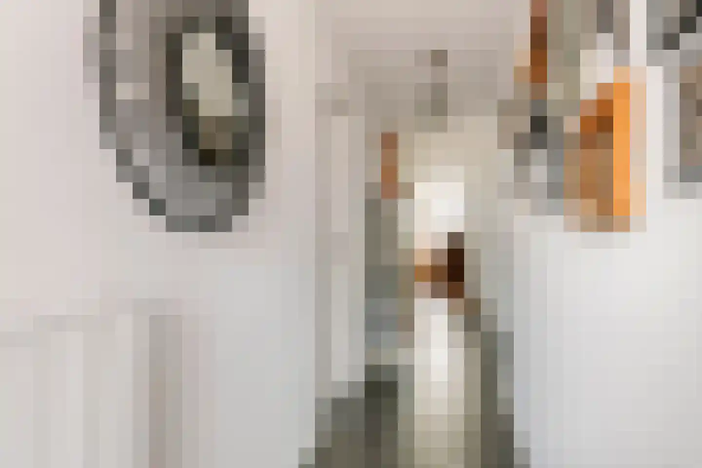 Hogestraat 59 A Druten thumbnail 15