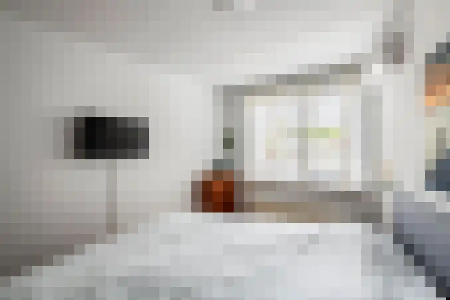 Hogestraat 59 A Druten thumbnail 17