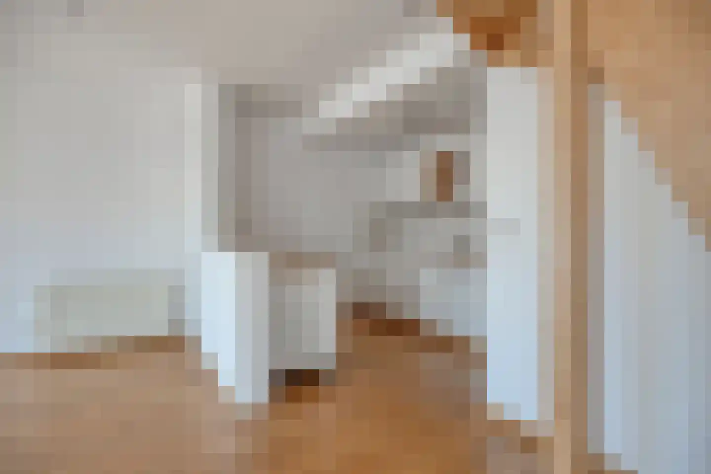 Hogestraat 6 B Druten thumbnail 15