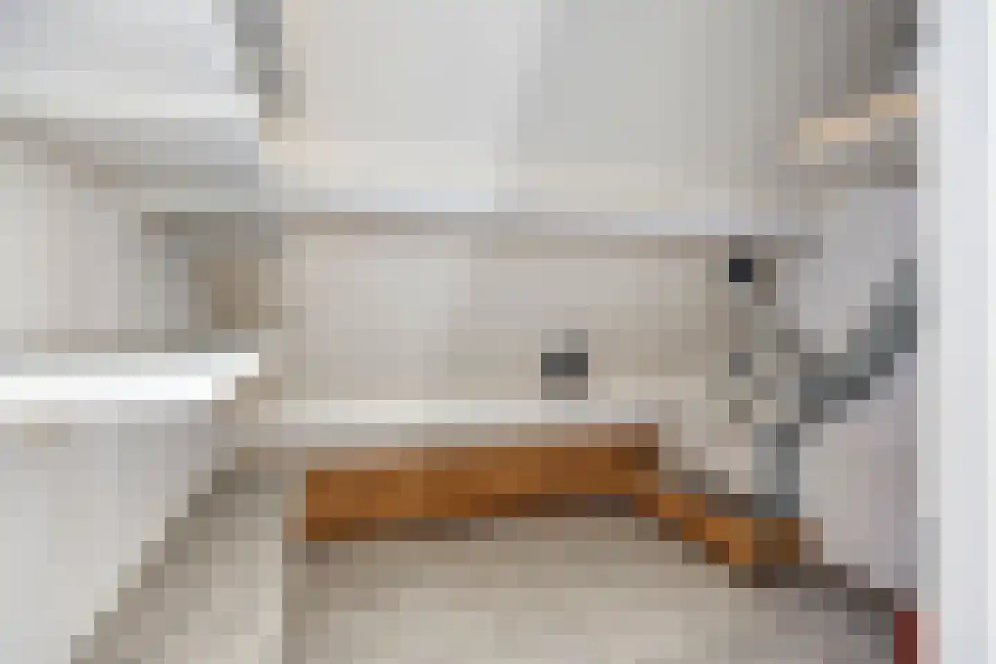 Hogestraat 6 B Druten thumbnail 26