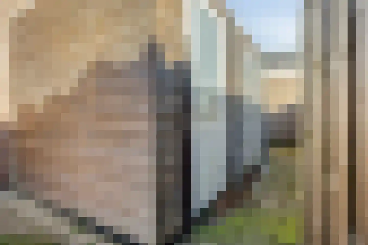 Hogestraat 6 B Druten thumbnail 30