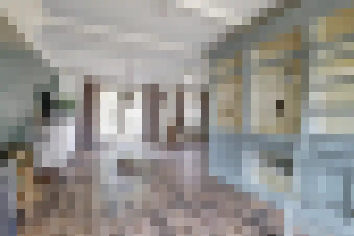Hogestraat 6 Heerewaarden thumbnail 15
