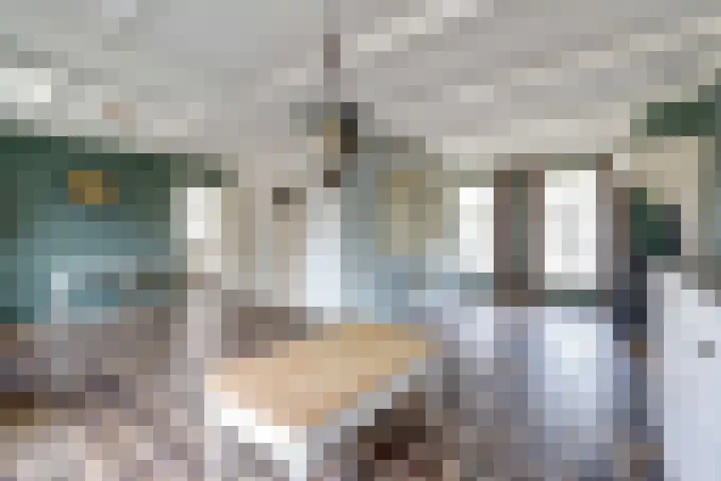 Hogestraat 6 Heerewaarden thumbnail 17