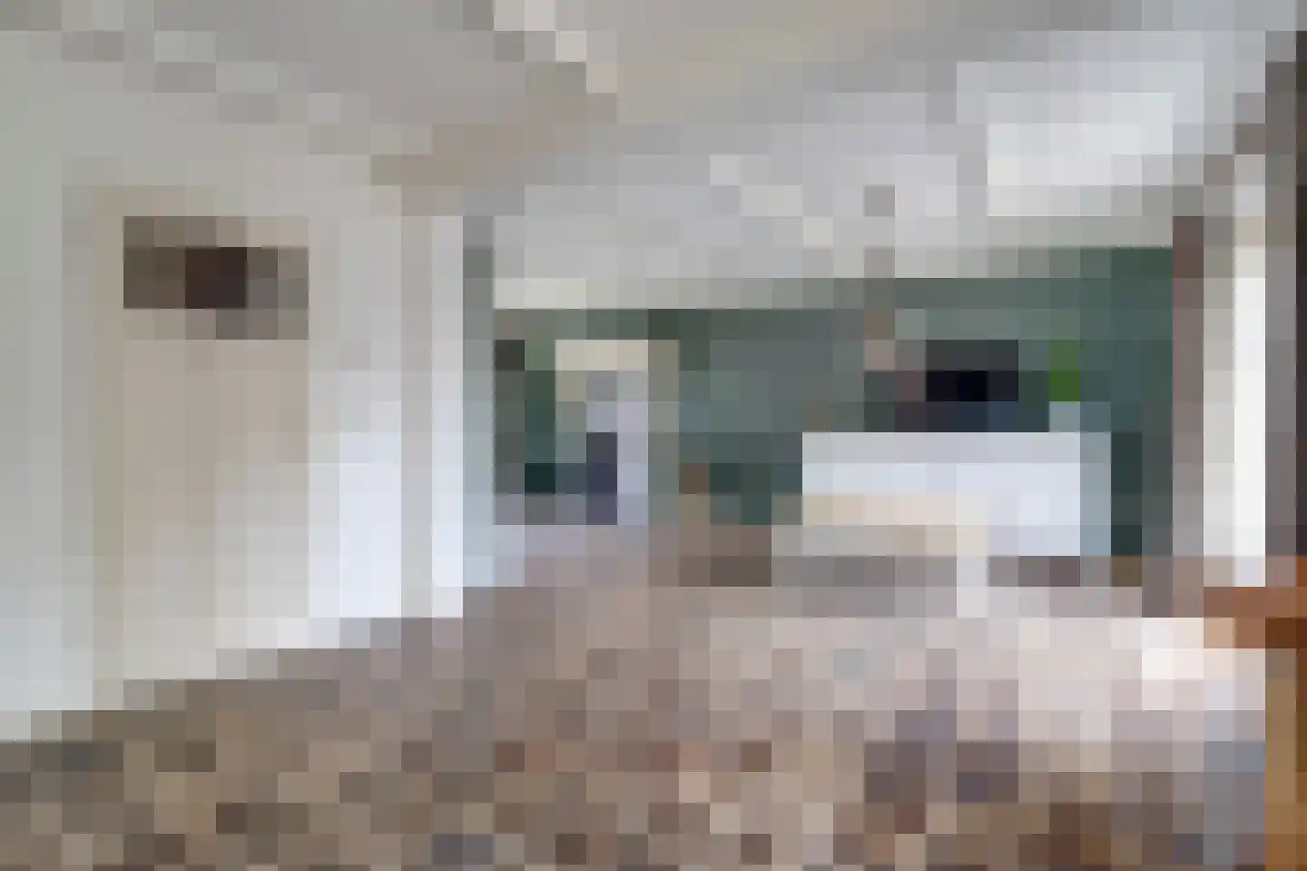 Hogestraat 6 Heerewaarden thumbnail 19