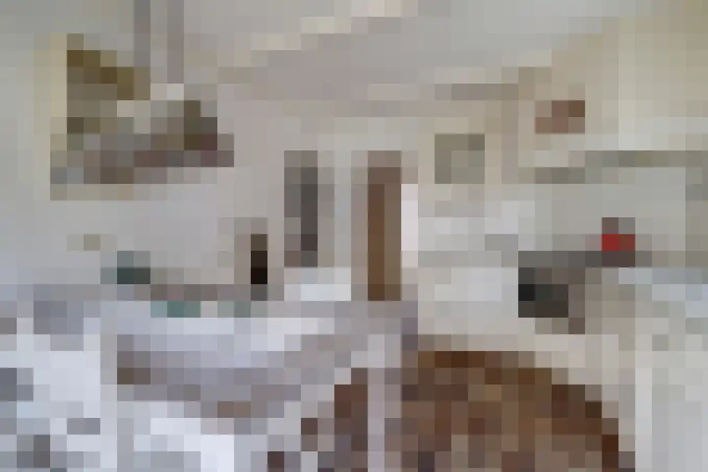 Hogestraat 6 Heerewaarden thumbnail 22