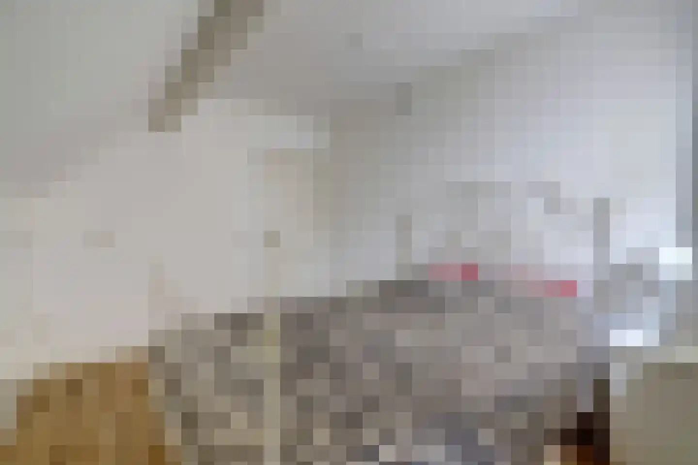 Hogestraat 6 Heerewaarden thumbnail 29
