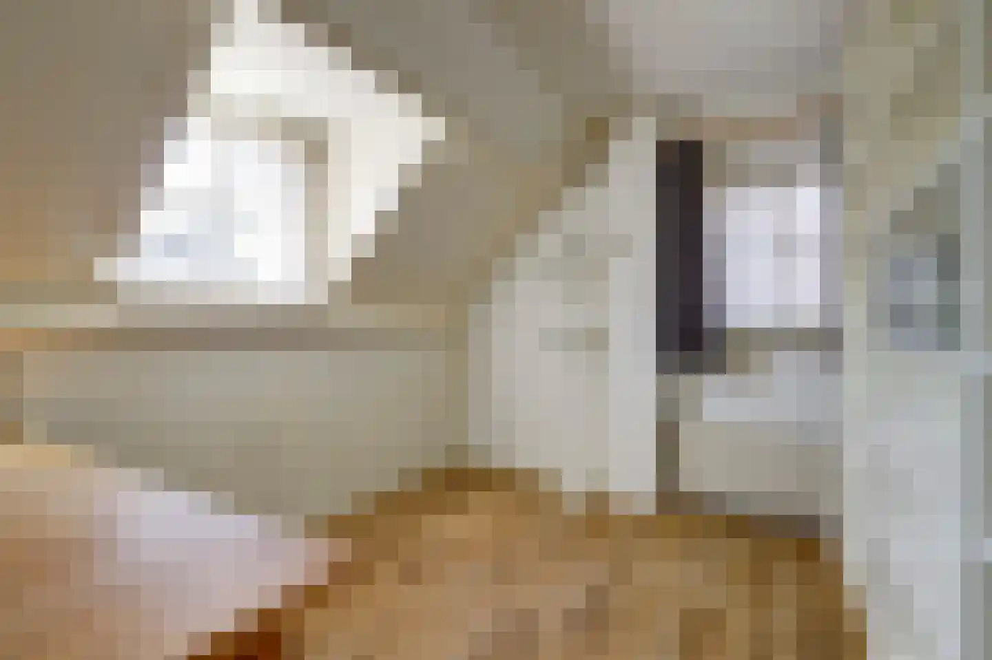 Hogestraat 6 Heerewaarden thumbnail 30
