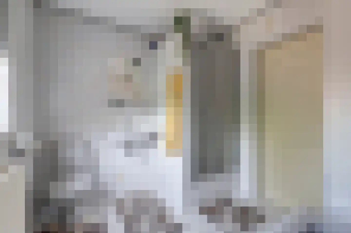 Hogestraat 6 Heerewaarden thumbnail 33