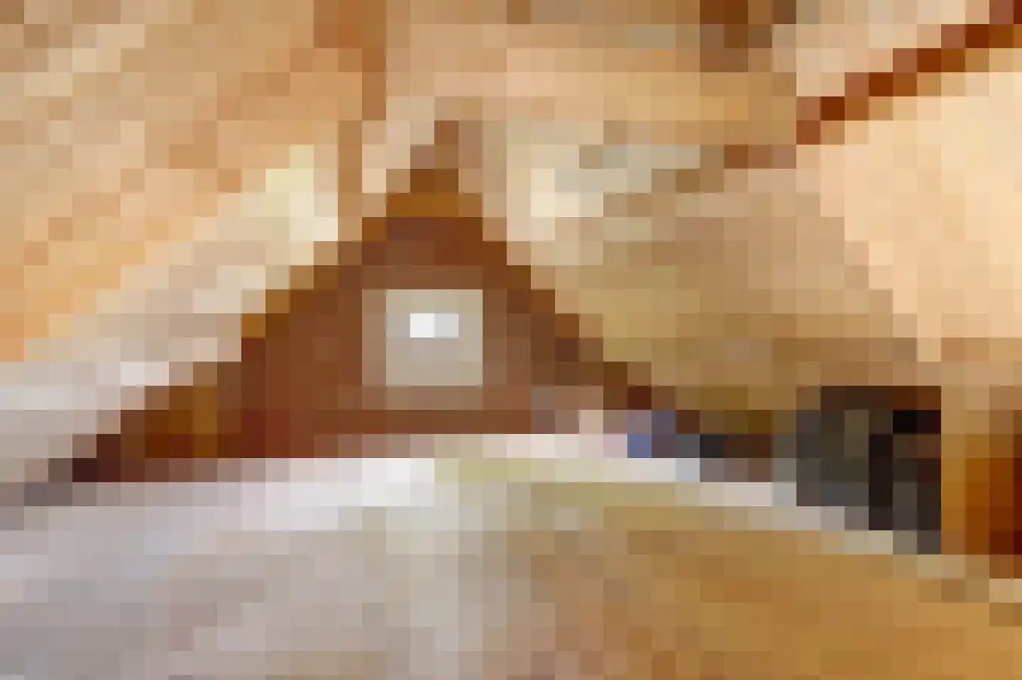 Hogestraat 6 Heerewaarden thumbnail 38