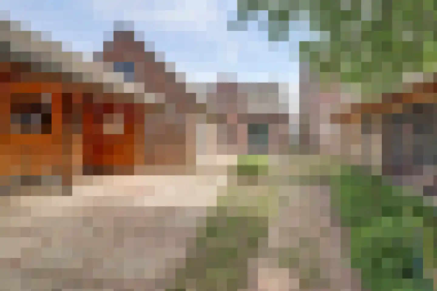 Hogestraat 6 Heerewaarden thumbnail 39