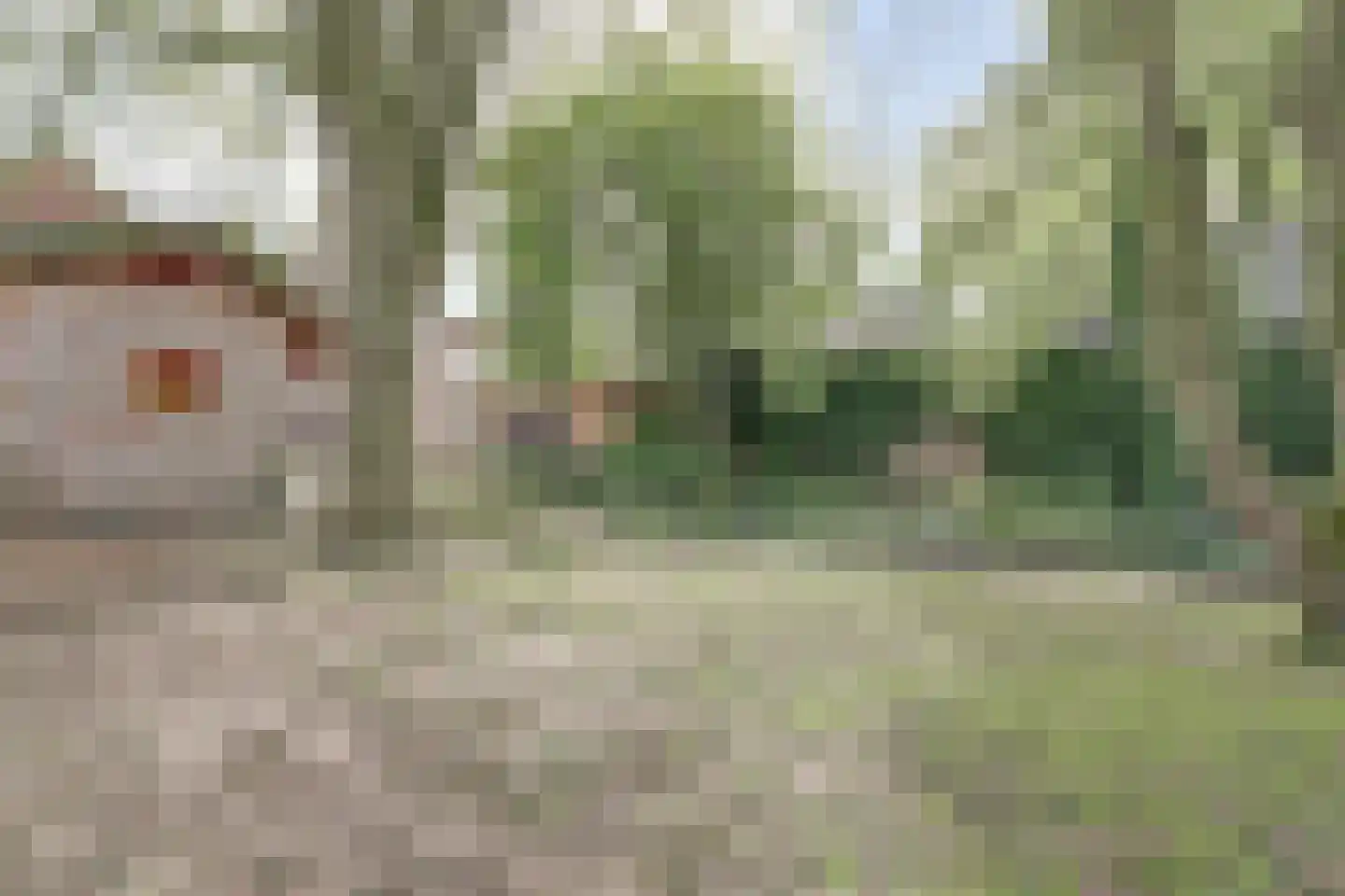 Hogestraat 6 Heerewaarden thumbnail 4
