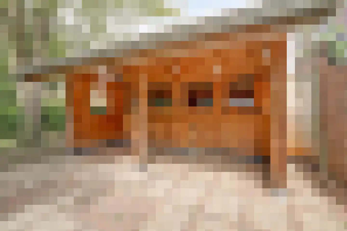 Hogestraat 6 Heerewaarden thumbnail 40