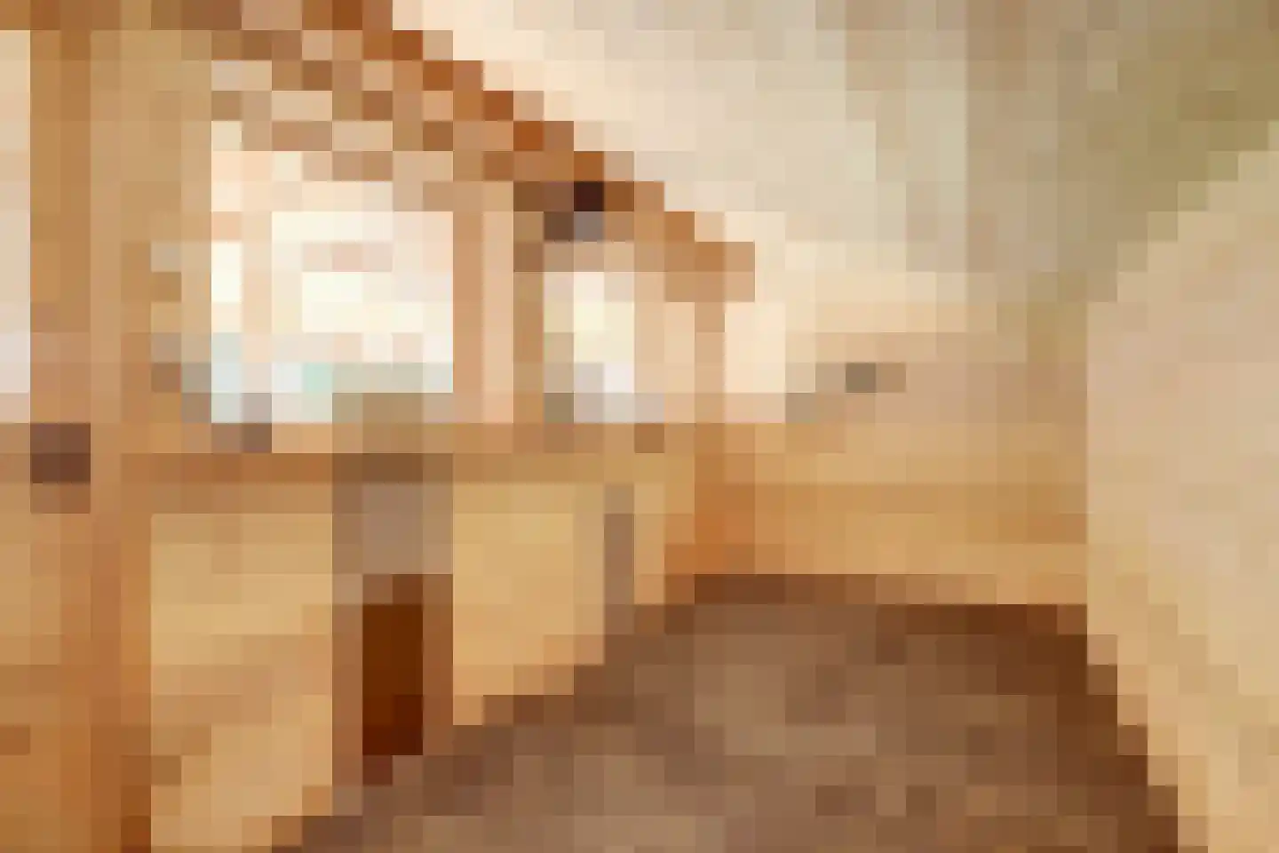 Hogestraat 6 Heerewaarden thumbnail 41