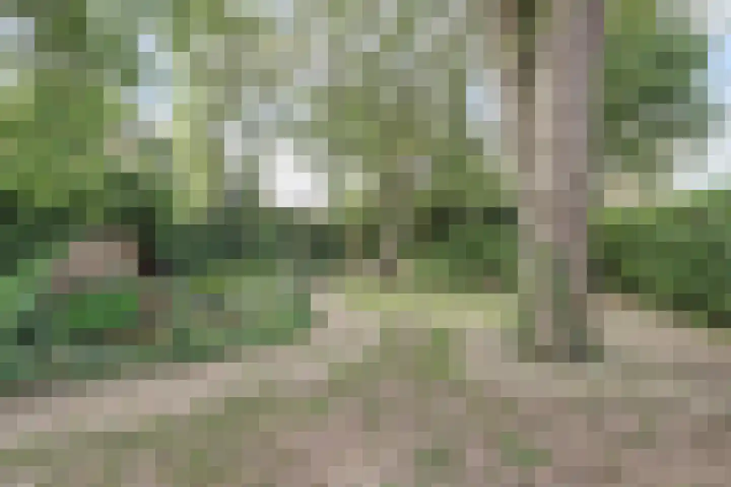 Hogestraat 6 Heerewaarden thumbnail 42