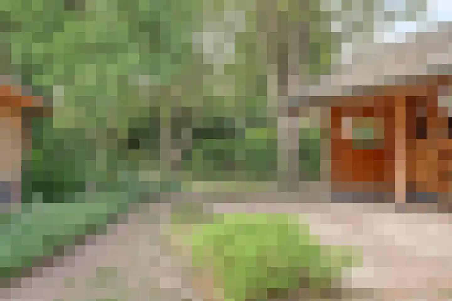Hogestraat 6 Heerewaarden thumbnail 43