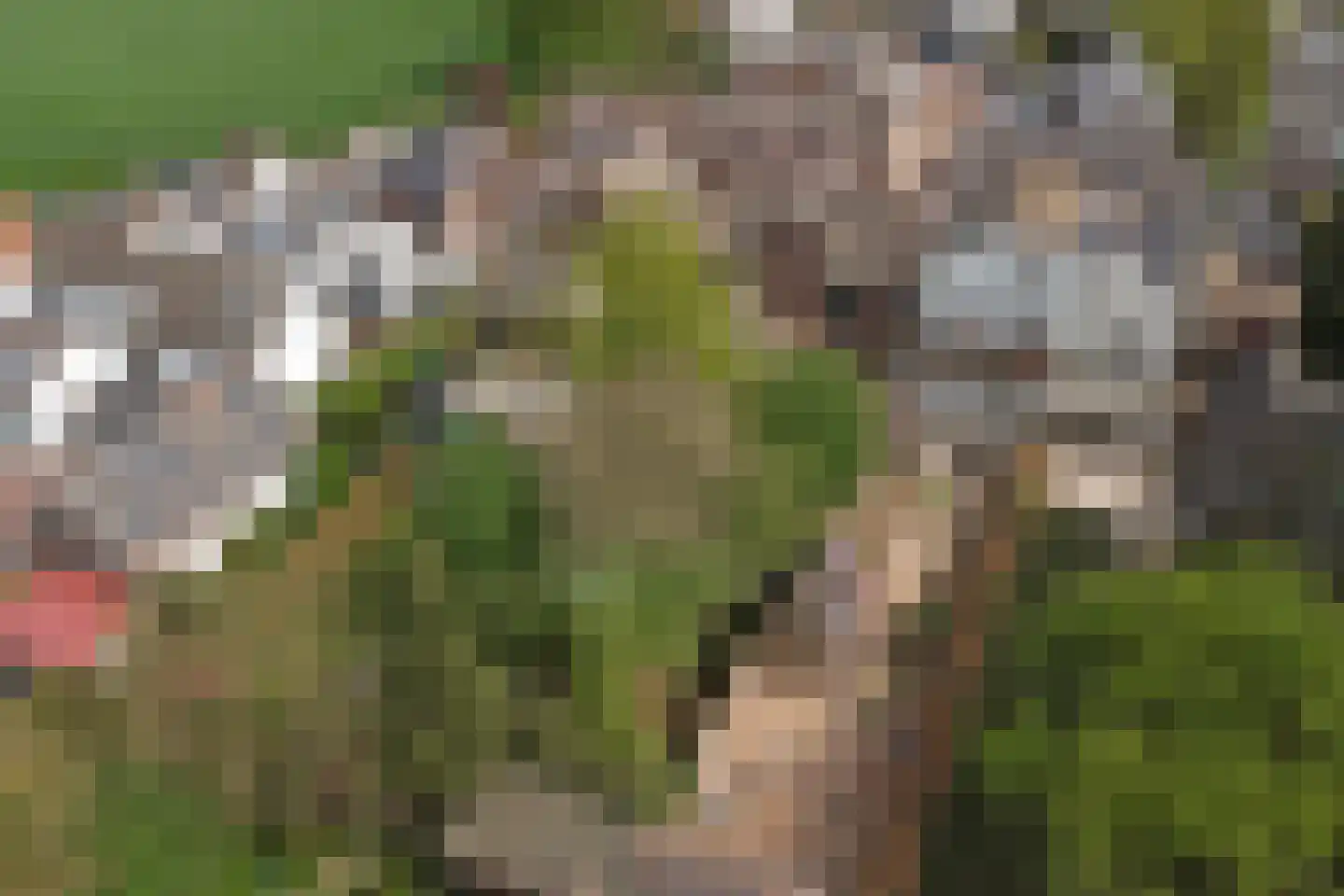 Hogestraat 6 Heerewaarden thumbnail 46