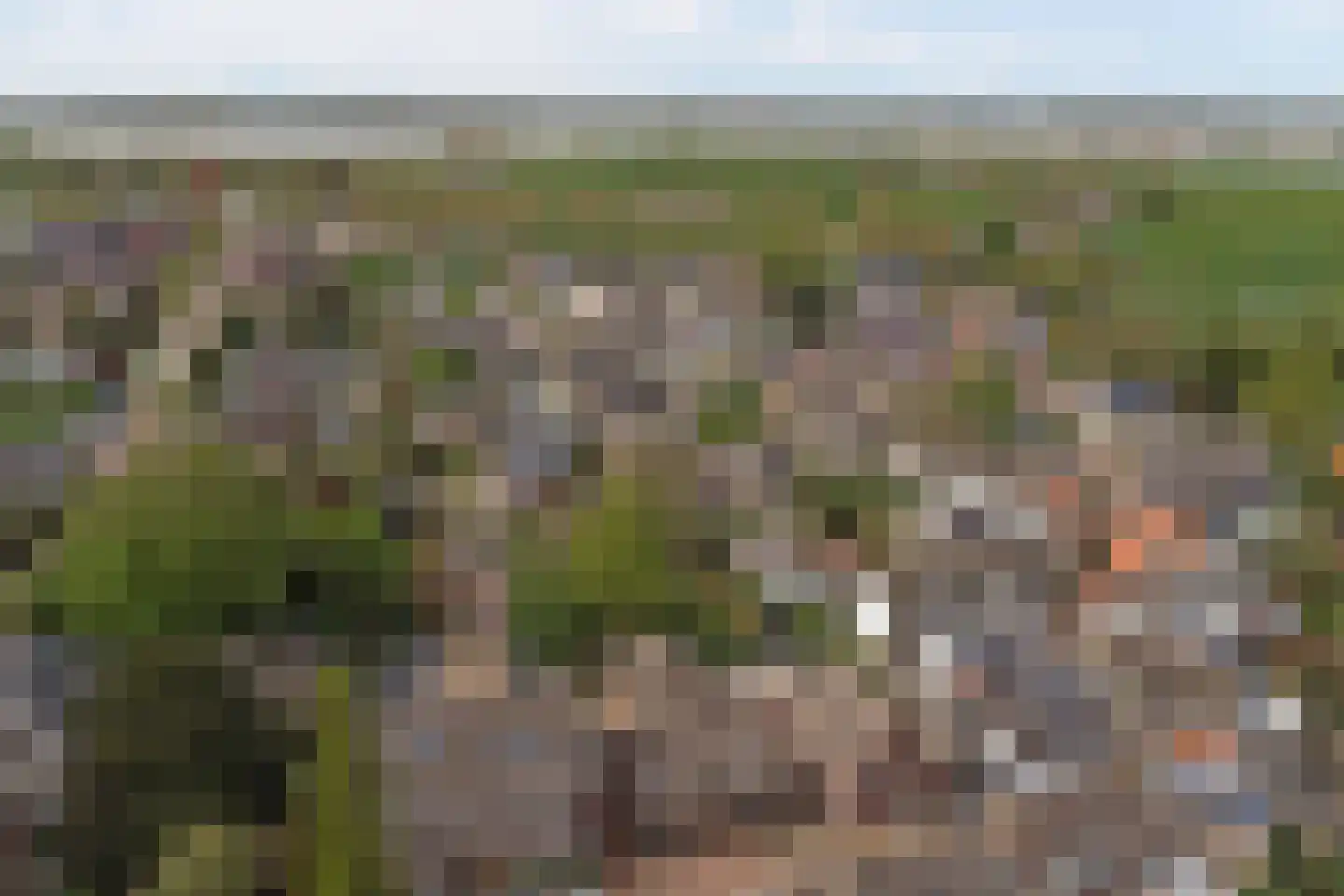 Hogestraat 6 Heerewaarden thumbnail 48