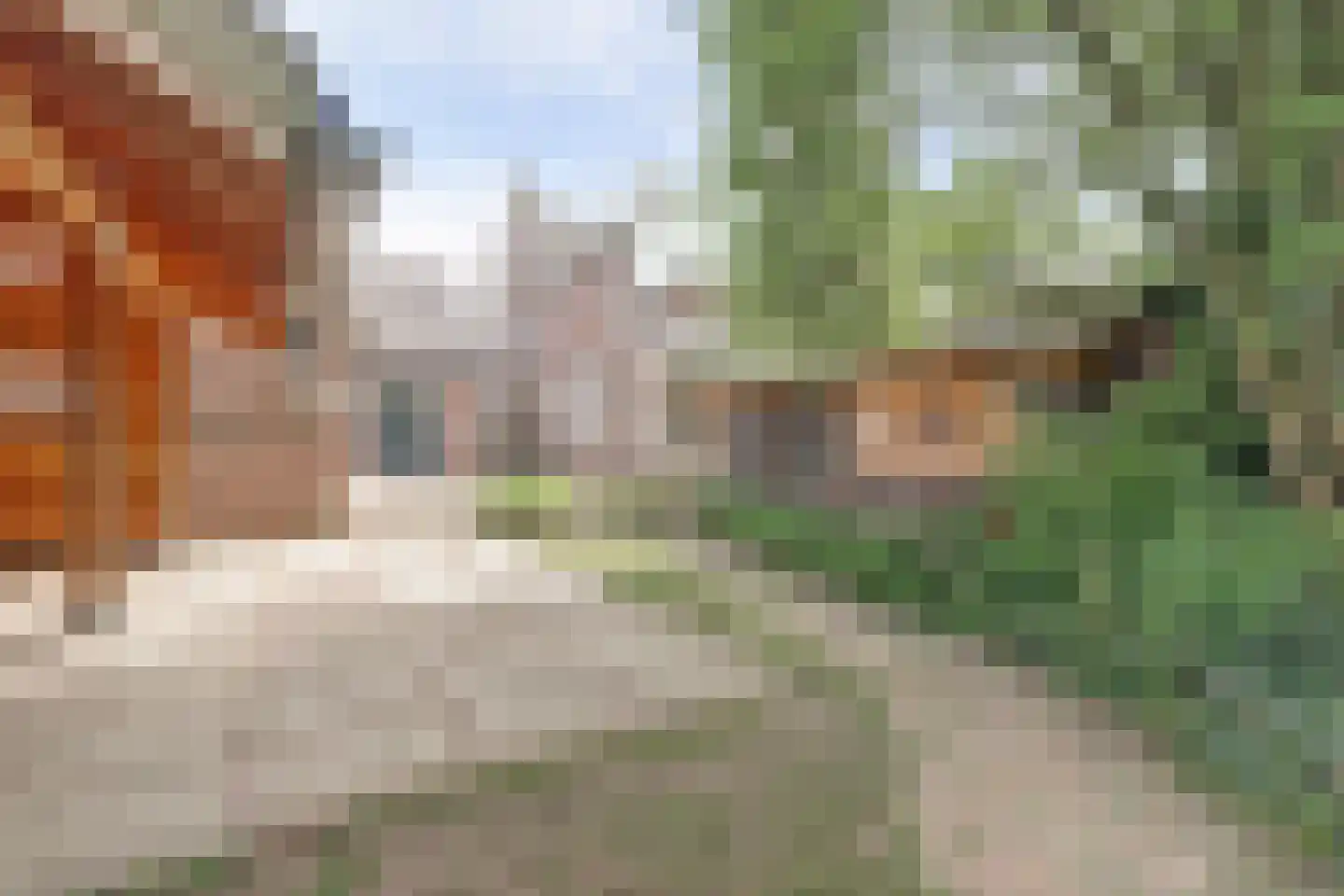 Hogestraat 6 Heerewaarden thumbnail 5