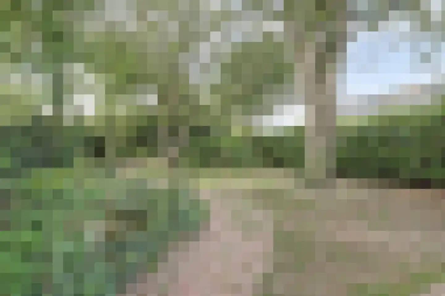Hogestraat 6 Heerewaarden thumbnail 6