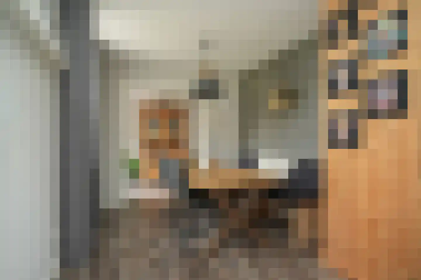 Hogestraat 6 Zoelen thumbnail 12