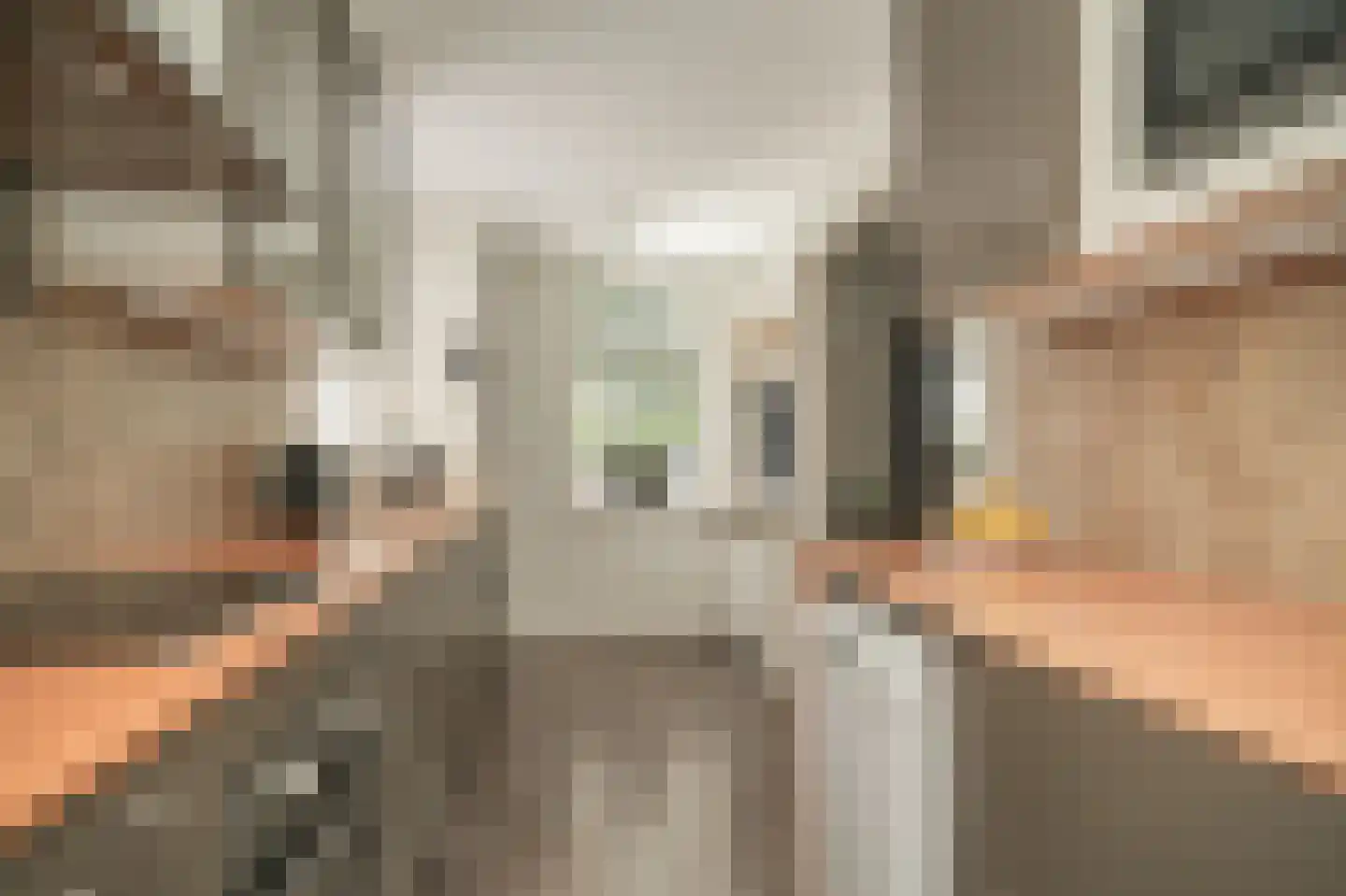 Hogestraat 6 Zoelen thumbnail 14