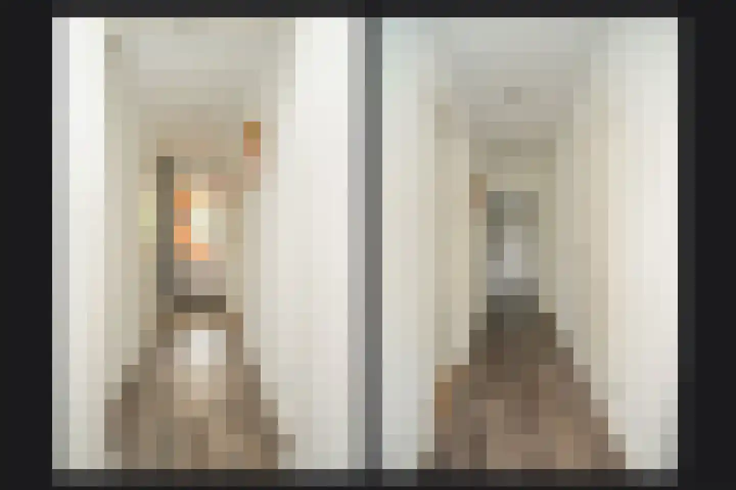 Hogestraat 6 Zoelen thumbnail 22