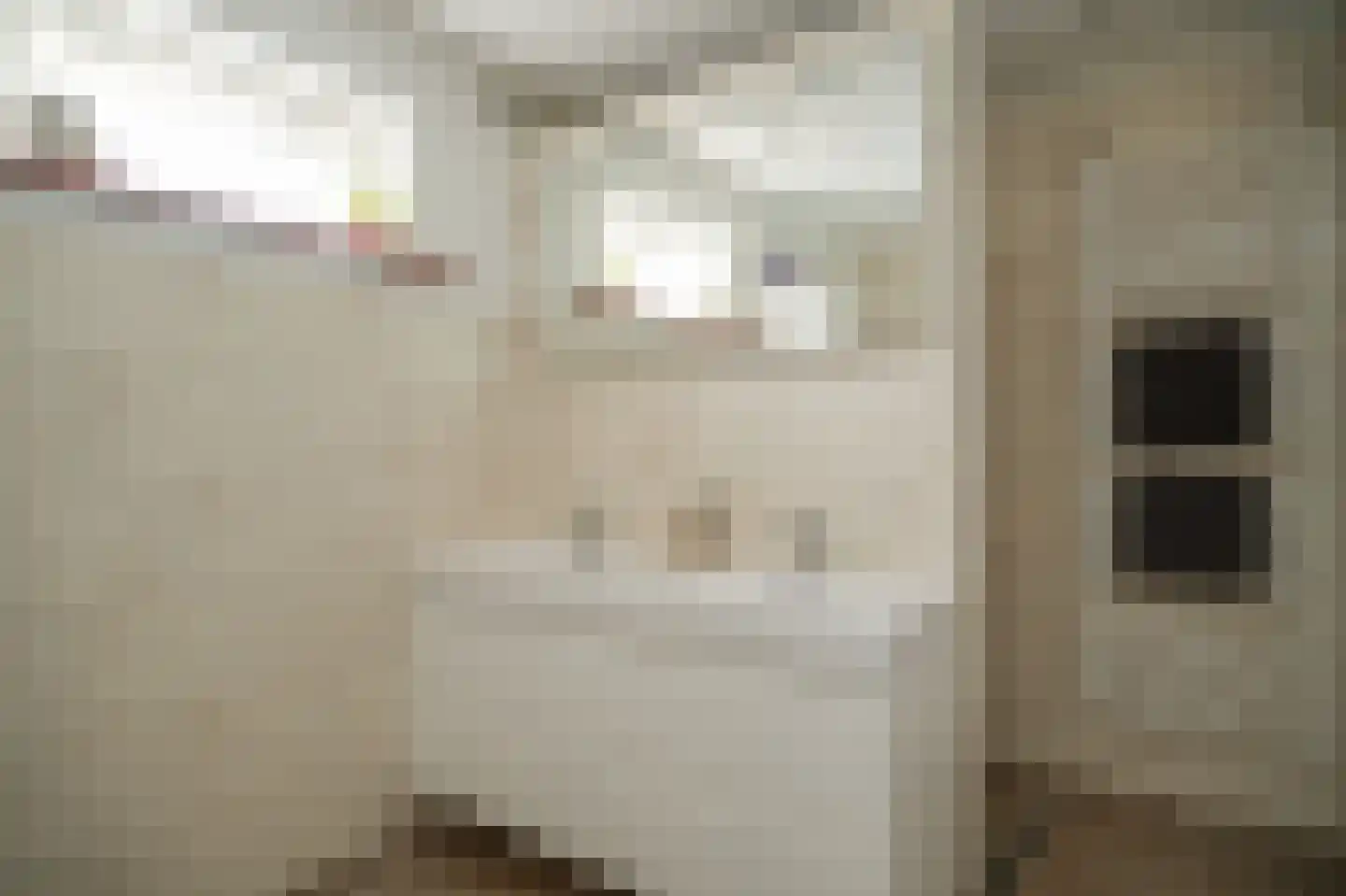 Hogestraat 6 Zoelen thumbnail 25