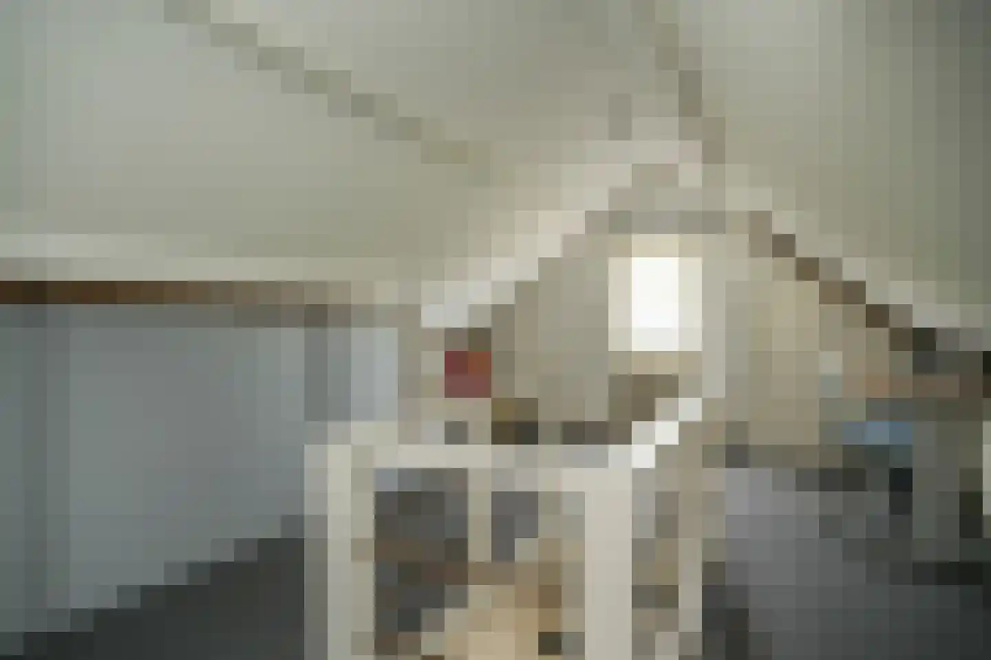 Hogestraat 6 Zoelen thumbnail 31
