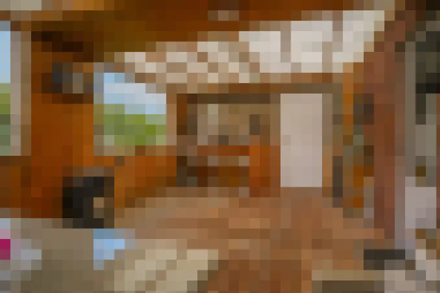 Hogestraat 6 Zoelen thumbnail 35